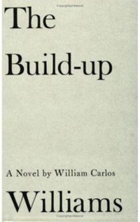 Bild vom Artikel The Build-up: Volume 3, Stecher Trilogy vom Autor William Carlos Williams