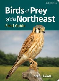 Produktbild: Birds of Prey of the Northeast Field Guide