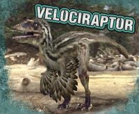 Produktbild: Velociraptor