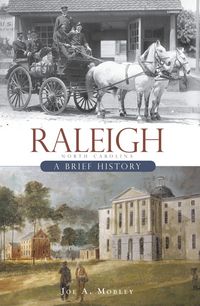 Produktbild: Raleigh