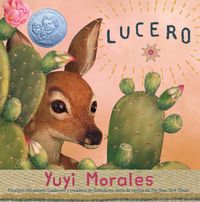 Produktbild: Lucero