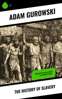 Produktbild: The History of Slavery