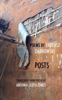 Bild vom Artikel Posts vom Autor Tadeusz Dabrowski