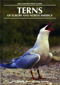Produktbild: Terns of Europe and North America