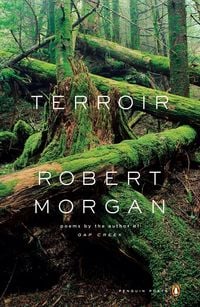 Produktbild: Terroir