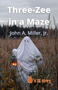 Produktbild: Three-Zee in a Maze