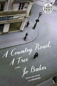 Produktbild: Country Road a Tree -Lp