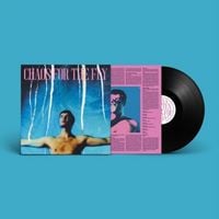 Produktbild: Chaos For The Fly