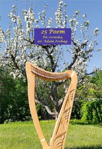 Produktbild: 25 Poem