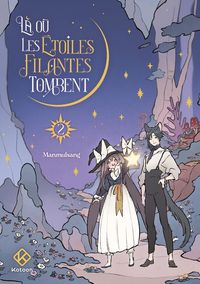 Produktbild: L&agrave; o&ugrave; les &eacute;toiles filantes tombent. Tome 2