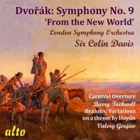 Produktbild: Sinfonie 9 "Aus der Neuen Welt"/Carnival Overt