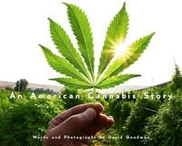 Produktbild: An American Cannabis Story