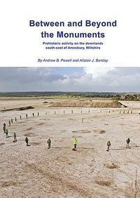 Produktbild: Between and Beyond the Monuments