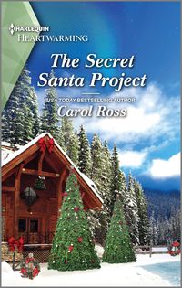 Produktbild: The Secret Santa Project
