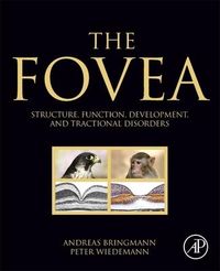Produktbild: The Fovea
