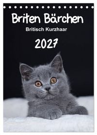 Produktbild: Briten B&auml;rchen &ndash; Britisch Kurzhaar 2027 (Tischkalender 2027 DIN A5 hoch), CALVENDO Monatskalender