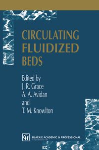 Produktbild: Circulating Fluidized Beds
