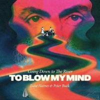 Produktbild: Going Down To The River...To Blow My Mind