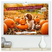 Produktbild: Cavalier King Charles Spaniel - Ein Jahr voller Erlebnisse (hochwertiger Premium Wandkalender 2027 DIN A2 quer), Kunstdruck in Hochglanz