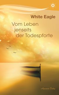 Produktbild: Vom Leben jenseits der Todespforte: Ein Buch, das Trost spendet und wahres Wissen vermittelt