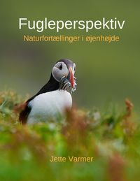 Produktbild: Fugleperspektiv