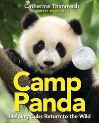 Produktbild: Camp Panda