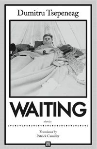 Produktbild: Waiting: stories