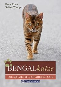 Bild vom Artikel Bengalkatze vom Autor 