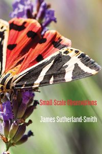 Produktbild: Small-Scale Observations