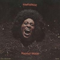 Produktbild: Maggot Brain