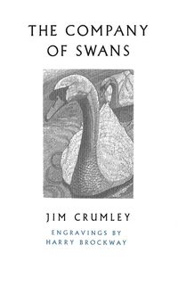 Produktbild: The Company of Swans