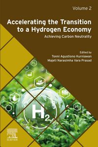 Produktbild: Accelerating the Transition to a Hydrogen Economy