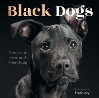 Produktbild: Black Dogs
