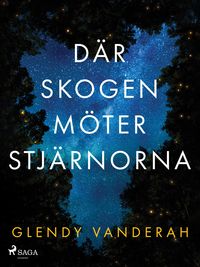 Produktbild: D&auml;r skogen m&ouml;ter stj&auml;rnorna