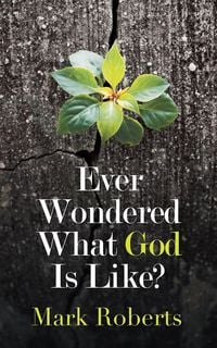 Produktbild: Ever Wondered What God Is Like?