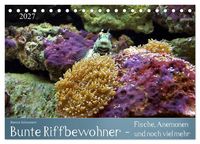 Produktbild: Bunte Riffbewohner - Fische, Anemonen und noch viel mehr (Tischkalender 2027 DIN A5 quer), CALVENDO Monatskalender