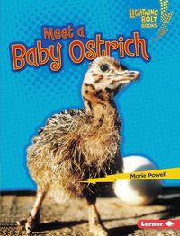 Produktbild: Meet a Baby Ostrich