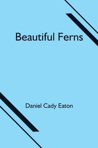Produktbild: Beautiful Ferns