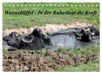 Produktbild: Wasserb&uuml;ffel - In der Ruhe liegt die Kraft (Tischkalender 2026 DIN A5 quer), CALVENDO Monatskalender