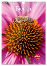 Produktbild: Bienenplaner (Wandkalender 2027 DIN A4 hoch), CALVENDO Monatskalender