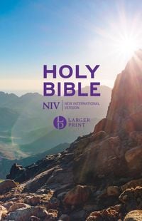 Produktbild: NIV Larger Print Personal Value Hardback Bible
