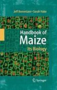 Produktbild: Handbook of Maize: Its Biology