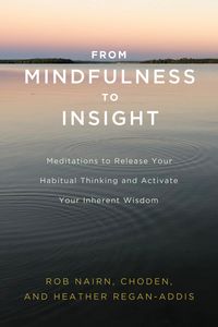 Produktbild: From Mindfulness to Insight