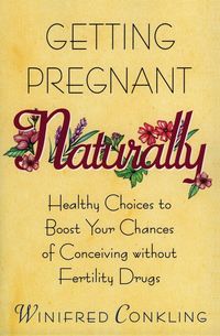 Produktbild: Getting Pregnant Naturally