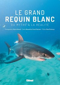 Produktbild: Le grand requin blanc : du mythe &agrave; la r&eacute;alit&eacute;