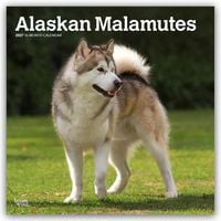 Produktbild: Alaskan Malamutes 2027 &ndash; 16-Monatskalender