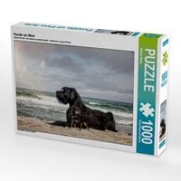 Produktbild: CALVENDO Puzzle Hunde am Meer | 1000 Teile Lege-Gr&ouml;&szlig;e 64x48cm Foto-Puzzle f&uuml;r gl&uuml;ckliche Stunden
