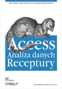 Produktbild: Access. Analiza danych. Receptury
