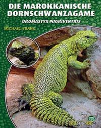 Produktbild: Die Marokkanische Dornschwanzagame
