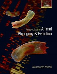Produktbild: Perspectives in Animal Phyloge